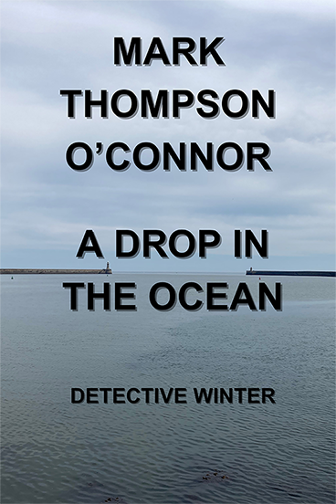 Book Cover for A Drop In The Ocean